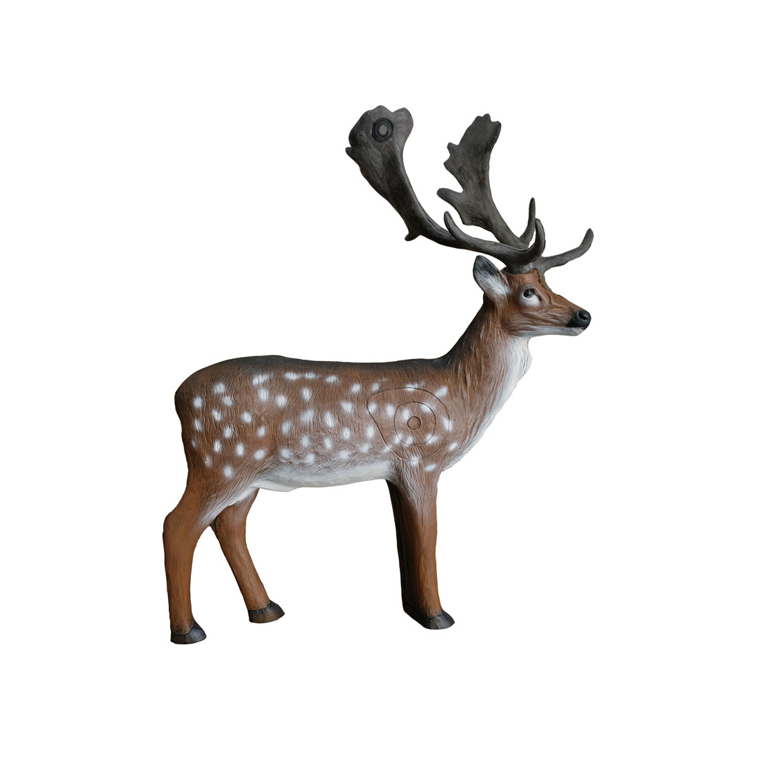 Leitold Fallow Deer 3D Target