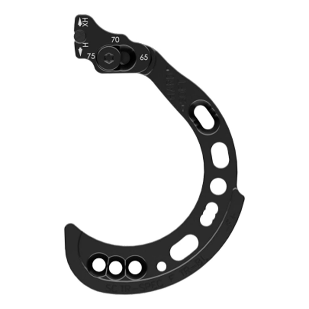 Hoyt SCTR Cam Spec Modules